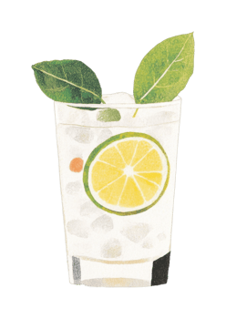 Refreshing citrus drink with ice and mint leaves png