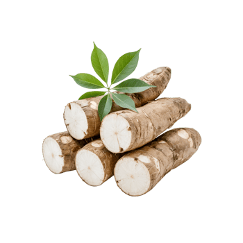 Fresh Stack of Yams and Cassava with Green Leaves png