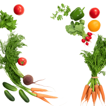 An arrangement of various raw vegetable types png