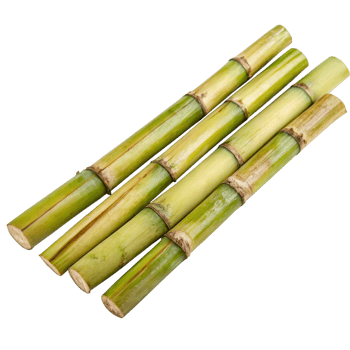 a group of bamboo sticks on a transparent background png