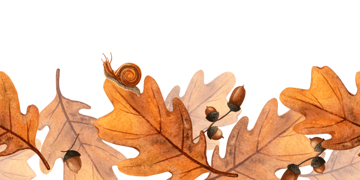 Autumn oak leaves with acorns, snails seamless border. Seasonal fall watercolor bordure of bright foliage and escargot Floral banner perfect for home fabric, textile, kitchenware, bedclothes, wrapping png