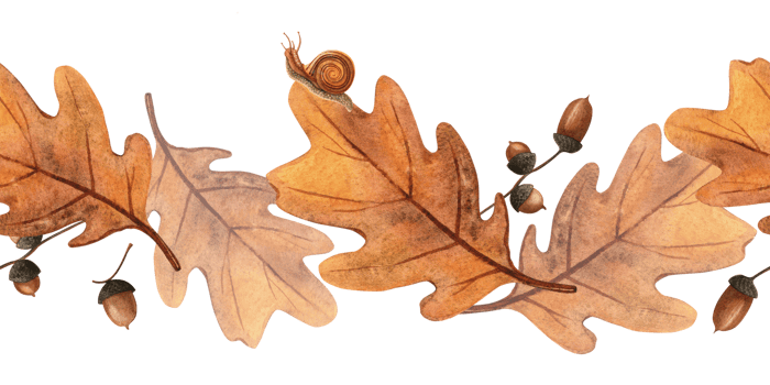 Elegant autumn seamless bordure - oak leaves, acorns, snails. Seasonal fall watercolor border of bright foliage and escargot Perfect for home fabric, floral textile, kitchenware, bedclothes, wrapping png