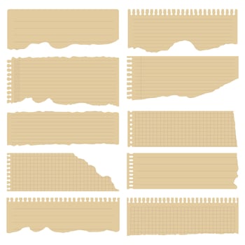 Torn beige ripped paper for scrapbook background vector