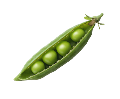 Fresh green peas in a pod for healthy eating and cooking ideas png
