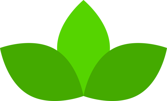 Green three leave tree png
