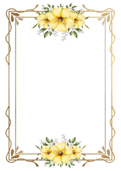Yellow flowers in a gold frame png