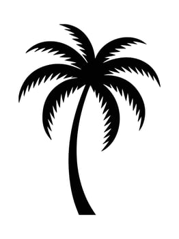 Palm tree silhouette black white illustration on white background vector