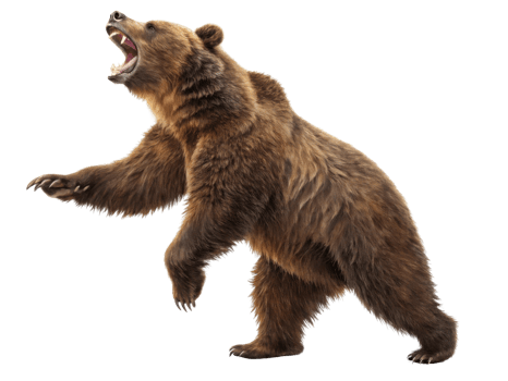 Fierce bear stands tall in market scene, showcasing its strength and wild beauty. This captivating image evokes sense of nature power png