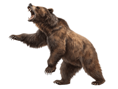 Fierce bear stands tall in powerful pose, showcasing its strength and wild nature in vibrant market setting png