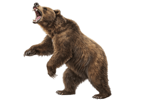 Fierce bear stands tall in market scene, showcasing its strength and wild nature. atmosphere is charged with excitement and energy png