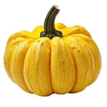 Yellow Pumpkin Buy Online on transparent background png