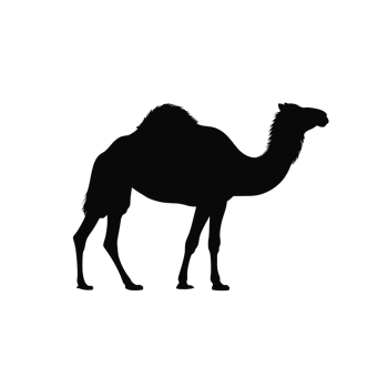 A black silhouette of a camel cutouts png