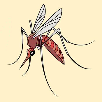Colorful Mosquito Illustration vector