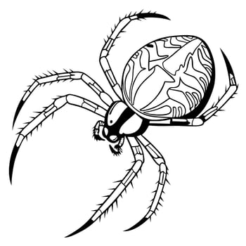 Line Art Illustration of Spider vector