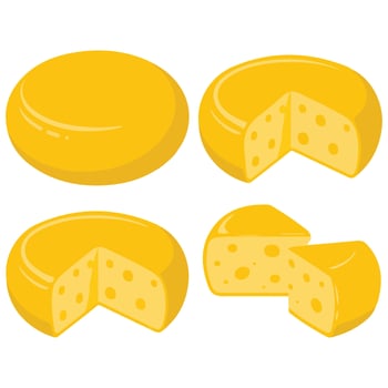 Assorted cheese wheels on white background isolated vector
