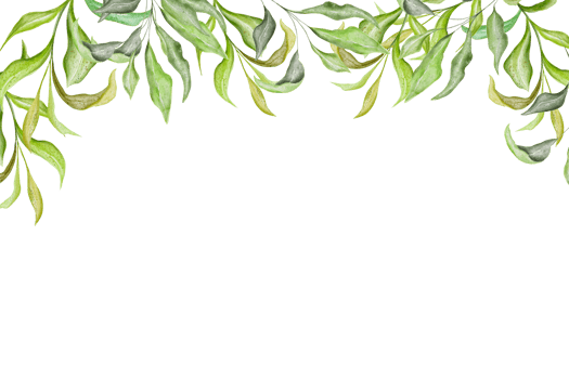 Watercolor frame border.Texture with greens,branch,abstract summer leaves,foliage. Perfect for wedding,invitations,greeting cards,quotes,pattern,logos,Birthday cards,lettering etc. png