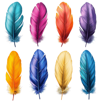 Colorful feather collection artistic design element illustration isolated on transparent background png