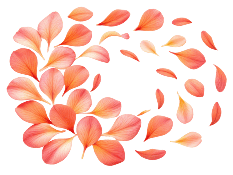 Beautiful petals create vibrant display of color and elegance, evoking sense of tranquility and natural beauty png