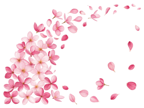 Lantana flowers bloom beautifully, creating vibrant display of pink petals that evoke feelings of joy and serenity png