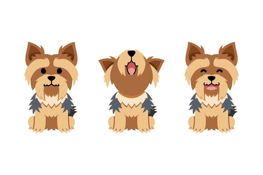 Cute Yorkshire Terrier Cartoon Set vector