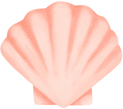 Pink seashell watercolor illustration png