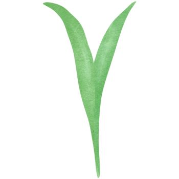 green grass cute clipart png