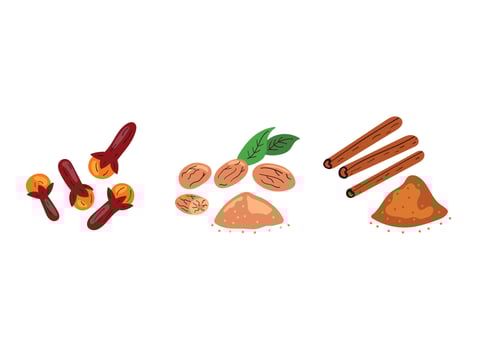 clove, nutmeg, cinnamon, spice illustration vector
