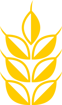Yellow wheat rice food png