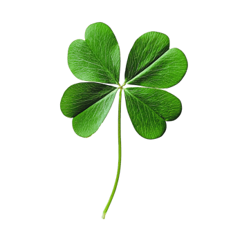 Green Tree Clover Leaf Luck Isolated on Transparent Background png
