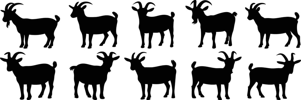 Collection of 10 Black Silhouettes of Goats in Various Poses, Featuring Sitting, Standing, and Walking vector