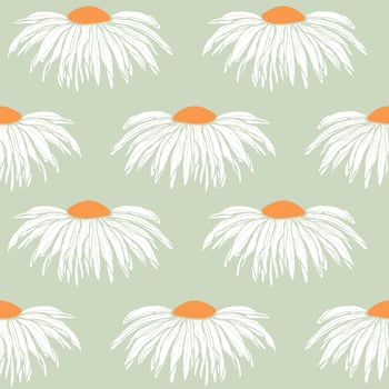 Chamomile pattern, wall decor with hand drawn sketch chamomile flower bud. On pastel green background. vector