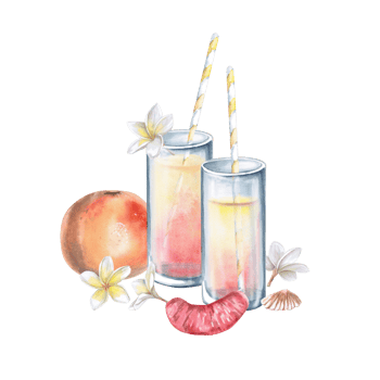 Glasses of juice, grapefruit and grapefruit slice, frangipani flowers, shells. Isolated watercolor illustration for restaurant menu design, interior decoration, weddings, poster printing. png