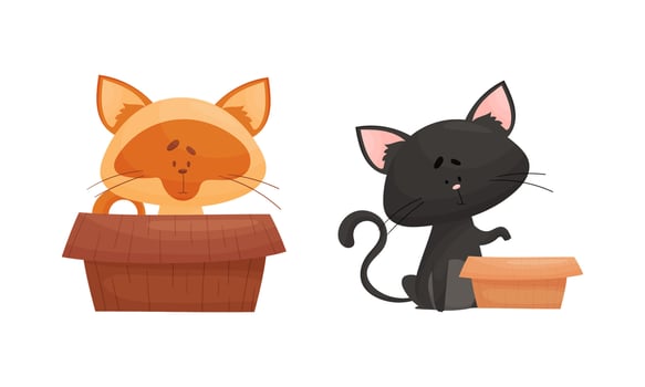 Cute cats in boxes set. Funny black and red cat sitting and playing with cardboard box cartoon illustration vector