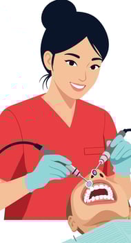 Female Dentist Performing Dental Treatment on Patient in Clinic Illustration vector