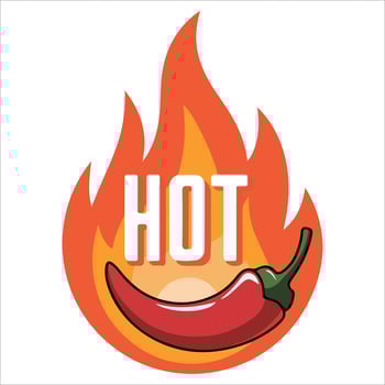 Spicy pepper logo concept isolated illustration on white background vector