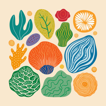 A colorful set of plants and flowers vector