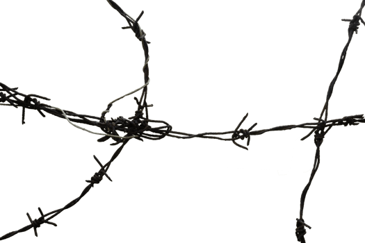 abstract rusty barbed wire isolated png