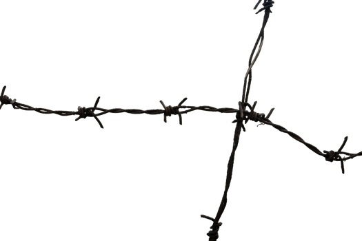 aesthetic rusty barbed wire for design element png