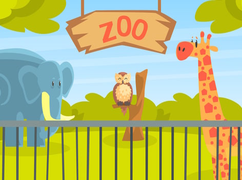 Zoo Park with Wild Animals, Natural African Landscape with Wild Giraffe, Elephant, Owl Animal Illustration vector