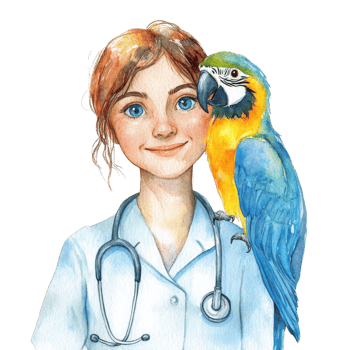 Vet with a macaw bird on transparent background png