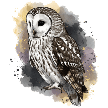 Watercolor style image of a perched owl with detailed feathers and a neutral color wash effect on transparent background png