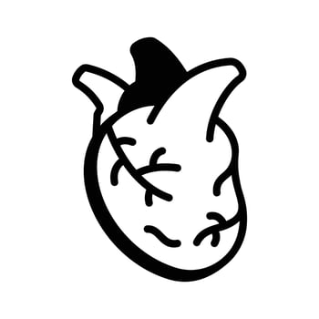 A visually engaging glyph icon showing human heart anatomy. vector