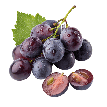 Grapes, Concord, isolated on a transparent background png