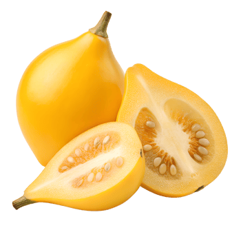 Solanum Mammosum, Nipple Fruit and slice isolated on transparent background png
