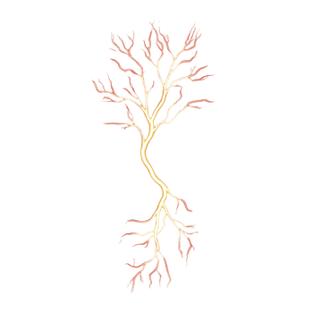 vibrant, glowing tree like structure with branching patterns resembling lightning or neural networks, set against transparency background, creating striking contrast png