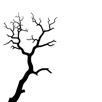 silhouette of bare tree branch with intricate, twisting limbs against plain background, evoking sense of solitude and stark beauty png