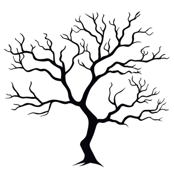 silhouette of leafless tree with intricate branches creates stark and dramatic image. evoking sense of solitude and resilience png