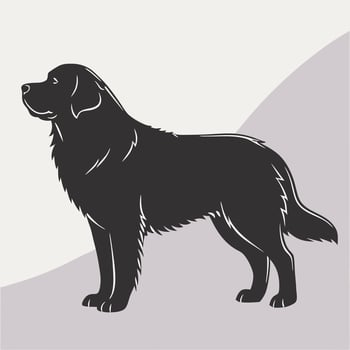 Elegant black newfoundland dog silhouette illustration with clean design elements vector