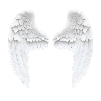 pair of detailed white angel wings with layered feathers, symbolizing purity and grace. wings are symmetrical and have soft, ethereal appearance, evoking sense of serenity png