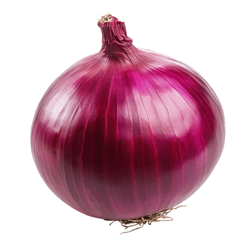 A red onion isolated on a transparent background png